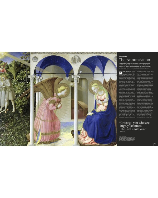 Bible Stories. The Illustrated Guide