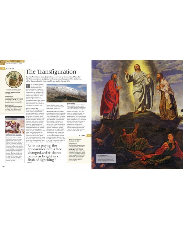 Bible Stories. The Illustrated Guide