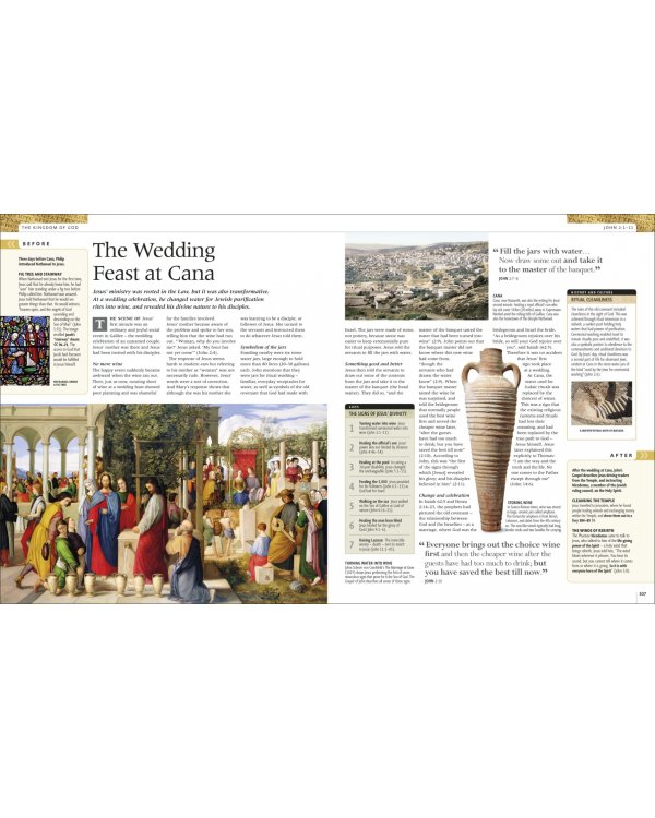 Bible Stories. The Illustrated Guide