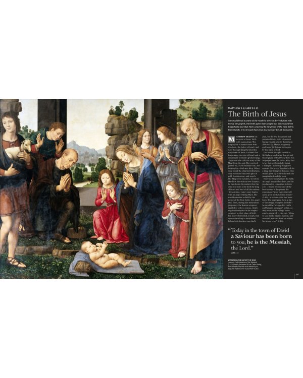 Bible Stories. The Illustrated Guide