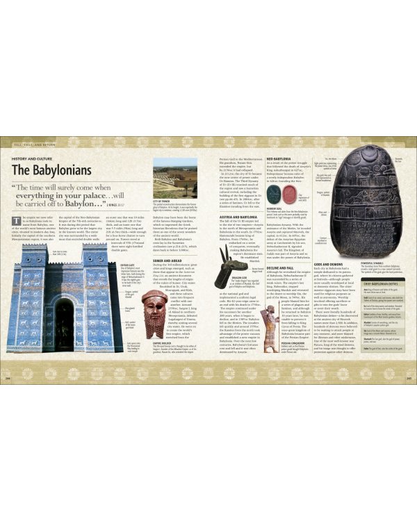 Bible Stories. The Illustrated Guide