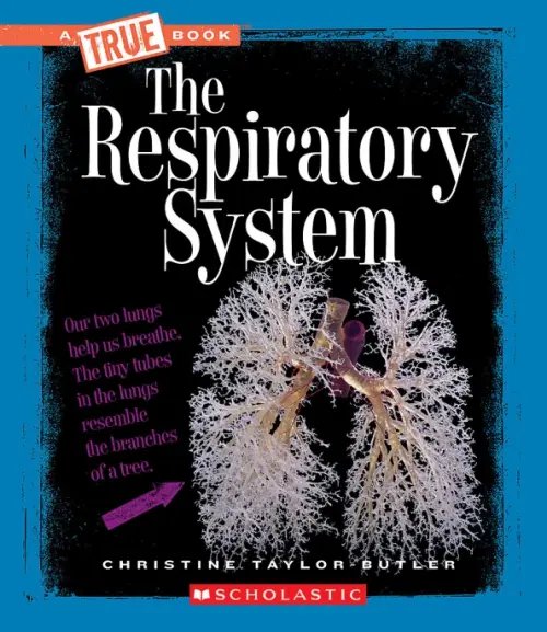 A True Book The Respiratory System