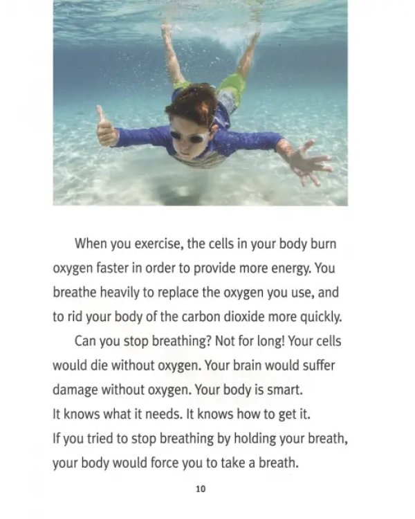 The Respiratory System
