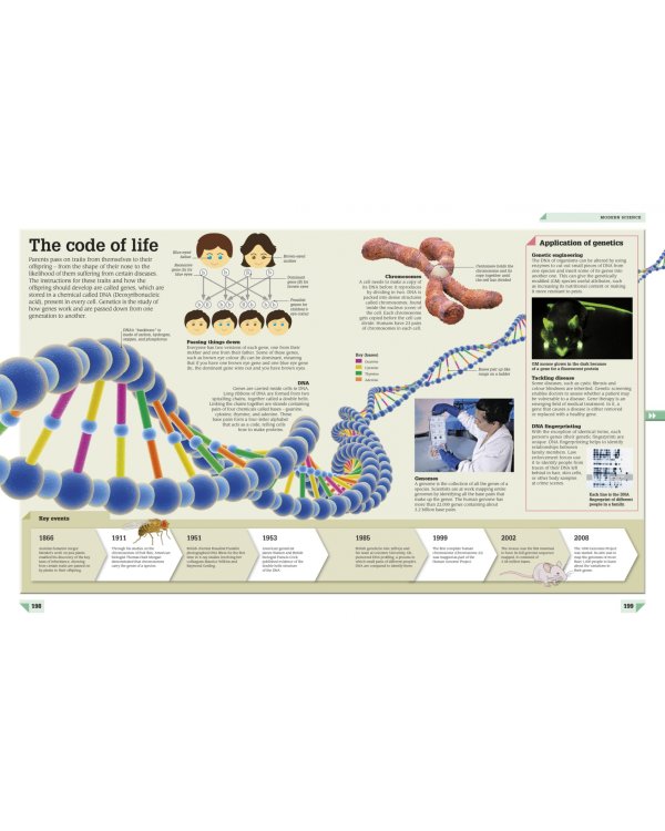 Science Year by Year. A Visual History, from Stone Tools to Space Travel