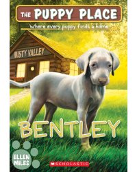 Bentley