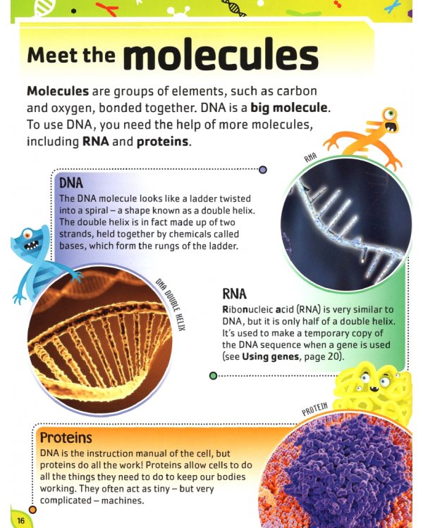 The DNA Book
