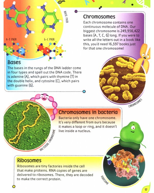 The DNA Book