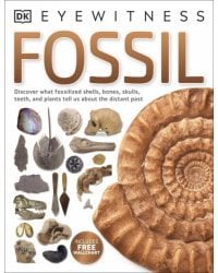 Fossil