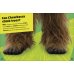 Star Wars. Meet the Heroes. Chewbacca