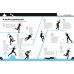 The Gamers' Survival Guide. Get Game Fit Before It's Game Over