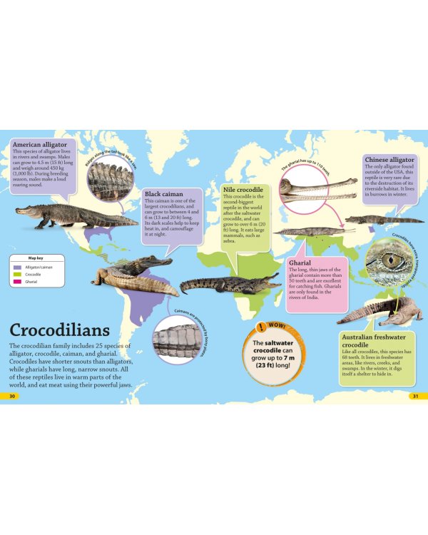 Reptiles and Amphibians