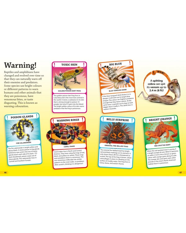 Reptiles and Amphibians