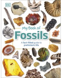 My Book of Fossils. A fact-filled Guide to Prehistoric Life