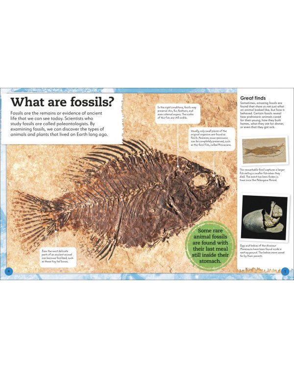 My Book of Fossils. A fact-filled Guide to Prehistoric Life