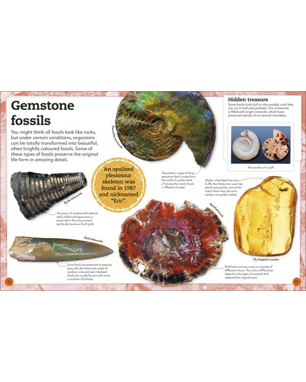 My Book of Fossils. A fact-filled Guide to Prehistoric Life