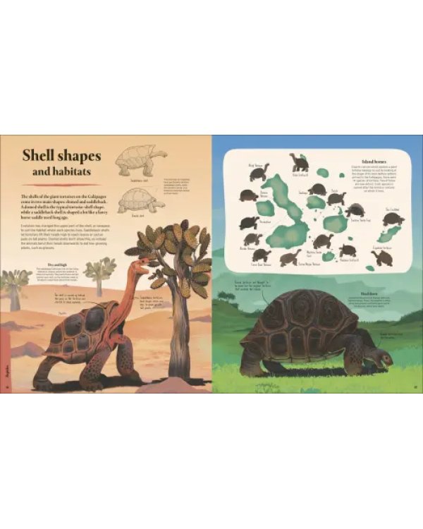 Дополнительное изображение книги «Galapagos»