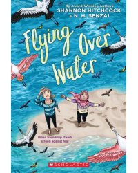 Flying Over Water