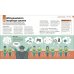 How Philosophy Works. The Concepts Visually Explained