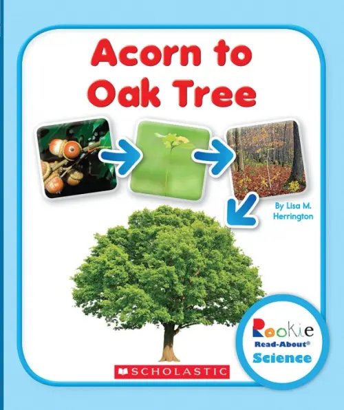 Rookie Read-About Acorn to Oak Tree