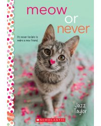 Meow or Never