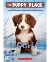 Mocha