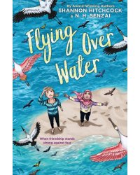 Flying Over Water