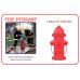 Let's Go to the Firehouse + DVD