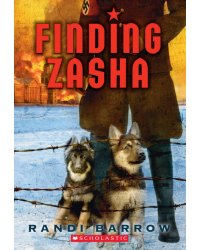 Finding Zasha