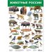Дополнительное изображение книги «Комплект из 10 обучающих плакатов для детей 4-5 лет»