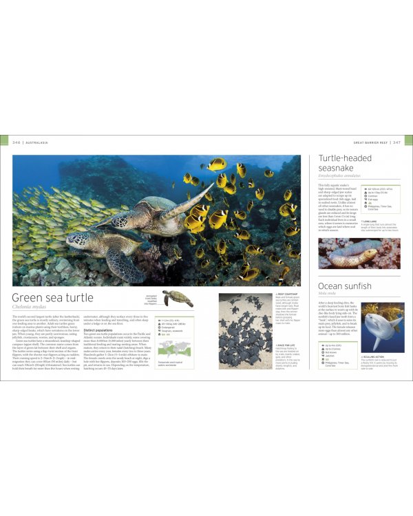Wildlife of the World