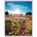 Guess What! Level 4. Teacher's Book with DVD. British English