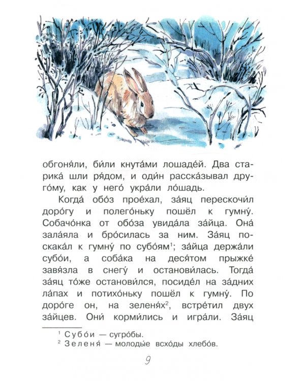 Акула. Рассказы