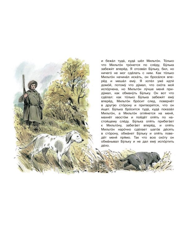 Акула. Рассказы
