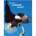 Guess What! Level 1. Pupil's Book. British English