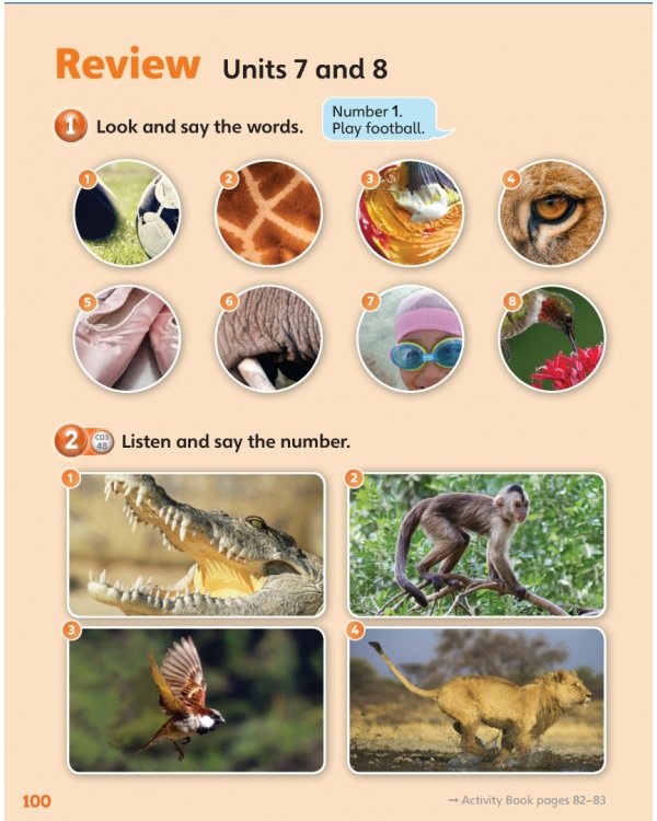 Guess What! Level 1. Pupil's Book. British English