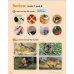 Guess What! Level 1. Pupil's Book. British English