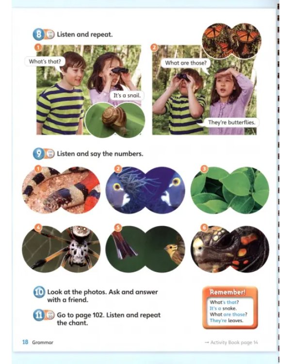 Guess What! Level 3. Teacher's Book with DVD. British English