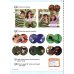 Guess What! Level 3. Teacher's Book with DVD. British English