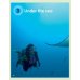 Guess What! Level 5. Teacher's Book with DVD. British English