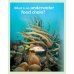 Guess What! Level 5. Teacher's Book with DVD. British English