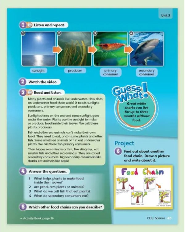 Guess What! Level 5. Teacher's Book with DVD. British English