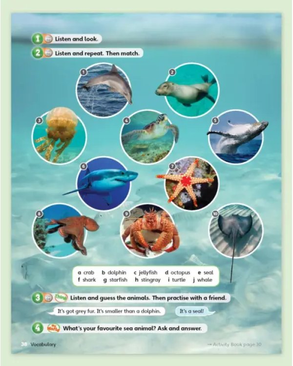 Guess What! Level 5. Teacher's Book with DVD. British English