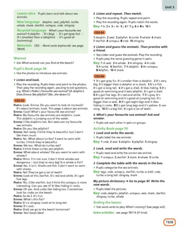 Guess What! Level 5. Teacher's Book with DVD. British English
