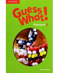 Guess What! Level 3. Flashcards, pack of 75. British English