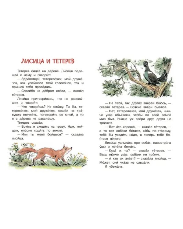 Прыжок. Рассказы и сказки