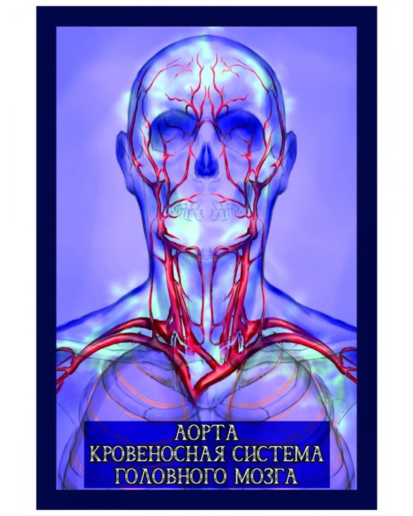 Карты целителя Энергия Парацельса, 65 карт + книга