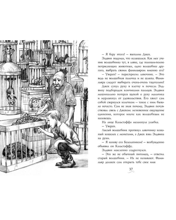 Фамильяры. Книга 1. Трое против ведьмы