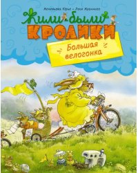 Большая велогонка