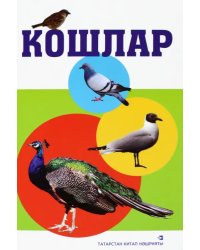 Дидактик карточкалар. Кошлар