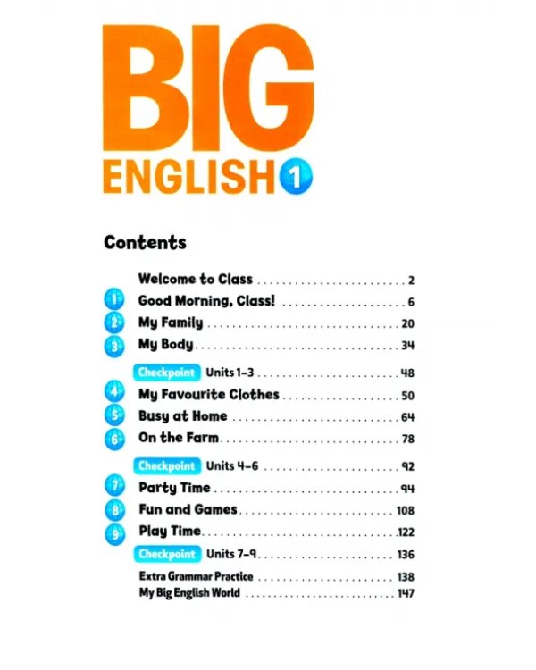 Дополнительное изображение книги «Big English Plus 1. Activity Book»